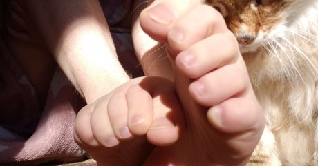 softcorekittyx モデル アーカイブ