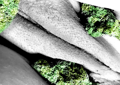 BBW ラティーナ OnlyFans ベスト ギャラリー