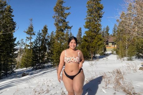 BellaBun Bo Bae 限定スター 写真