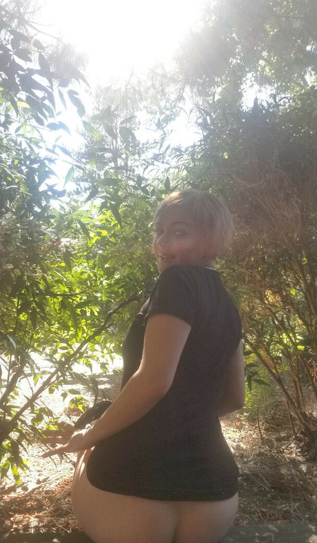 Phaestar 高品質のスター 写真