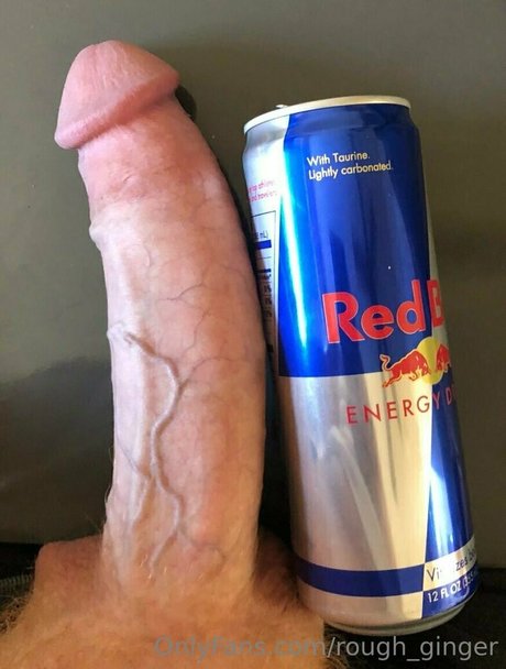 rough ginger ホットスター 画像