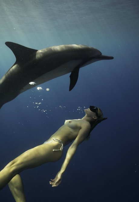 マッサージ動画 OnlyFans トップ 写真