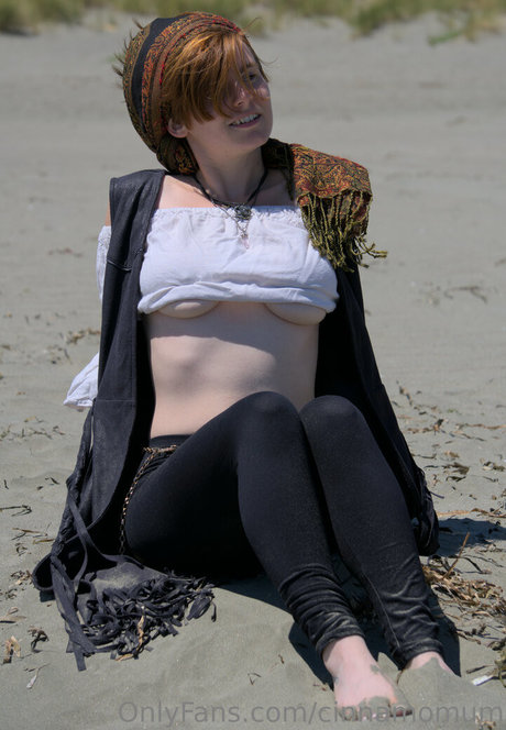 cinnamomum 完璧なスター 写真