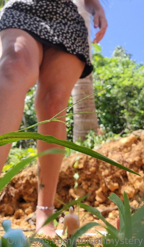 poisonmystery 美しい女優 写真