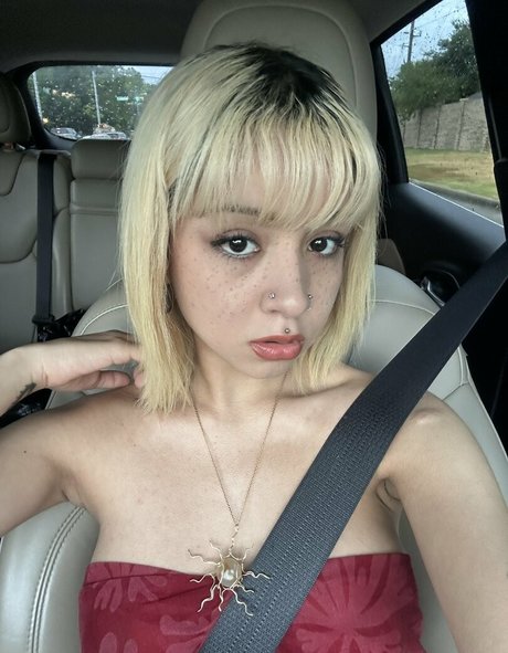 Ilselovesyou 完璧な女優 写真