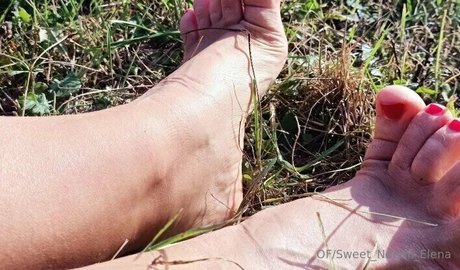 sweet noemi elena エロティックなスター ギャラリー