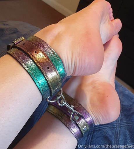 theprestigefeet 無料モデル 画像