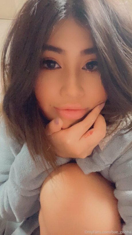 bae geisha HDモデル 写真