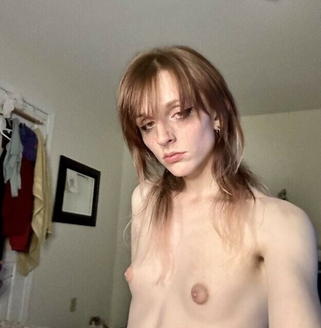 Daychain 裸のスター 写真