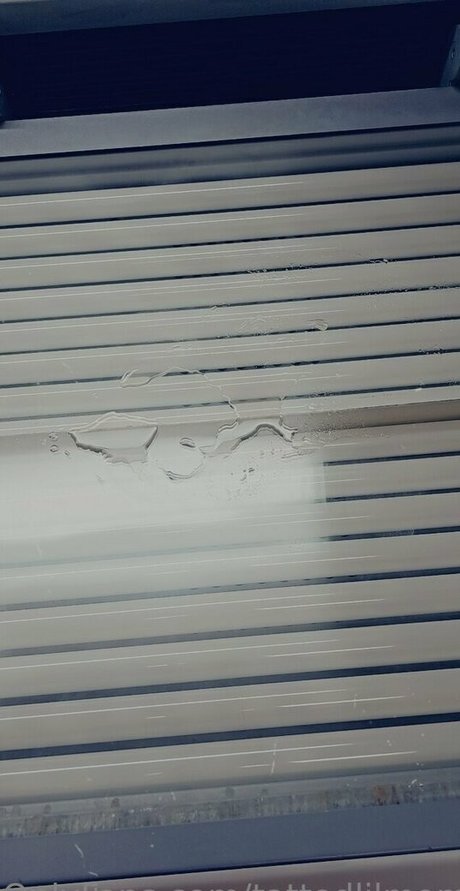 tattedlilmomma1990 最高のモデル 写真