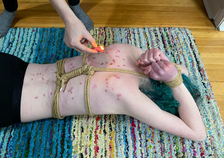 camryncorder ポルノスター アート 写真