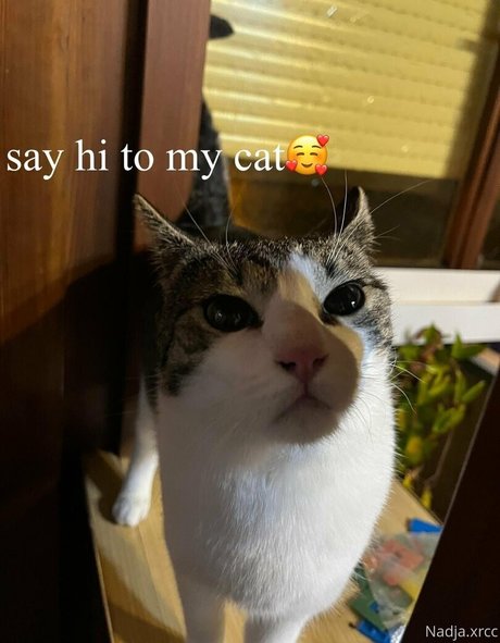 巨乳アナルOnlyFans 美しいポルノ 写真