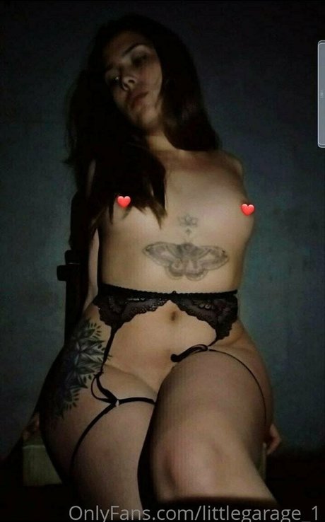 littlegarage 1 アダルトスター 画像