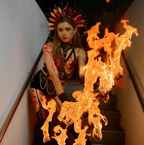 hooping meow 最高のスター アーカイブ