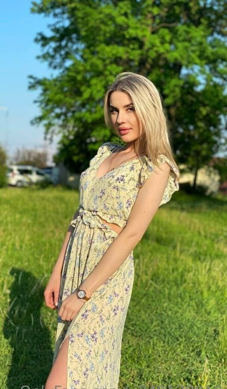 DMV オンリーファン 無料 ギャラリー