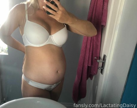 LactatingDaisy かわいいスター 写真