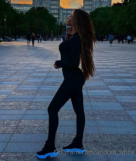 andrawhite アートスター 画像