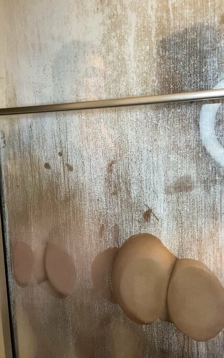 littlelanacat ポルノモデル ギャラリー