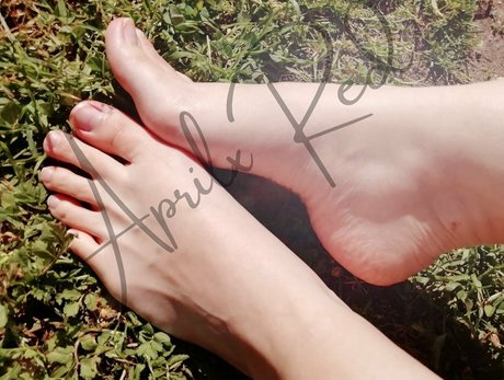 aprilxredfree HDモデル アーカイブ