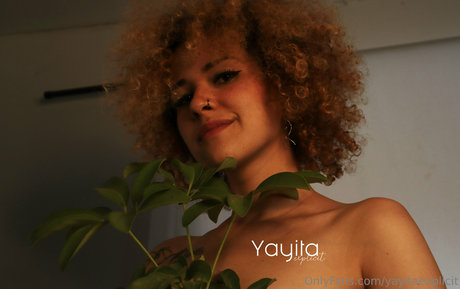 yayitaexplicit HD女優 画像