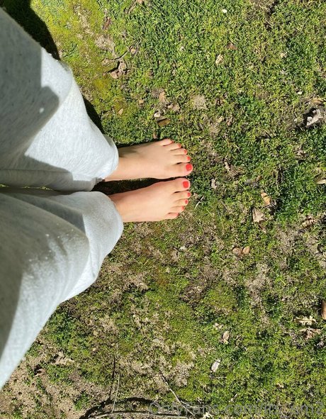 its em2 HDスター ギャラリー