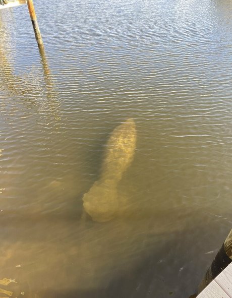 no jury セクシーモデル 写真