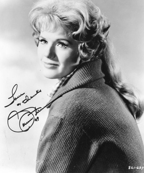 Connie Stevens ポルノスター アート 写真
