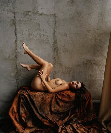 Nemmy Horin 完璧なスター 画像