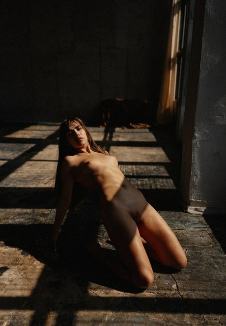 Nemmy Horin top profile image