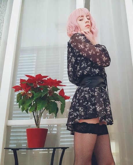 mythixtrap アートポルノスター ギャラリー