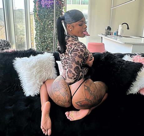 ハンズオンリーファン トップ ギャラリー