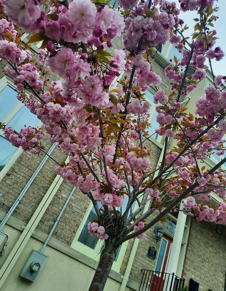 ayavonlee ポルノモデル ギャラリー