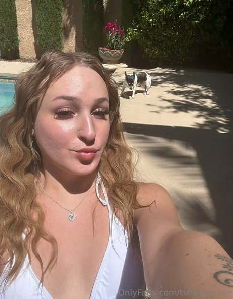 tshavenrose ポルノスター ベスト 画像