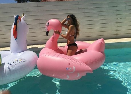 Liel Avitan 素敵なスター 画像