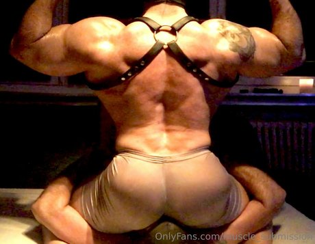muscle submission xxxスター 画像
