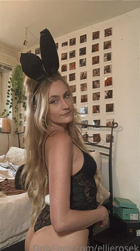 Ellierosek トップモデル アーカイブ