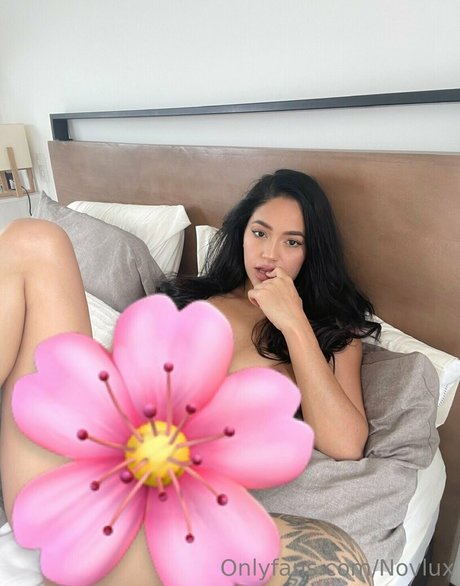 Novlux ホットなポルノスター 画像