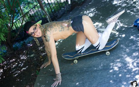 Cheshire_ 高品質スター 写真