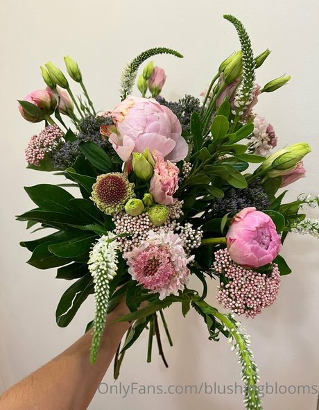 blushingblooms ポルノスター トップ 写真