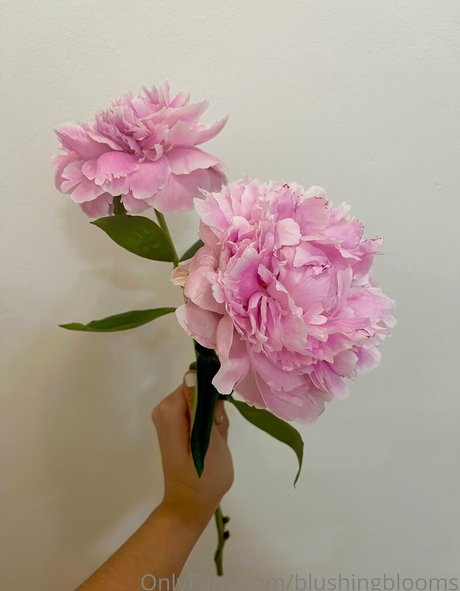 blushingblooms ポルノスター 素敵 ギャラリー