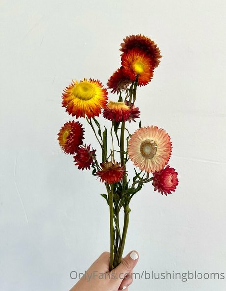 blushingblooms ポルノ女優 写真