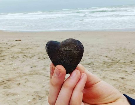 natuvic free 無料スター 画像