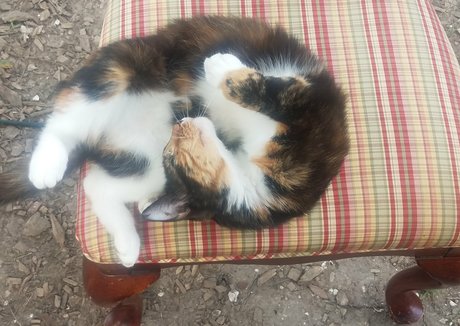 チューブオンリーファン セックス ギャラリー