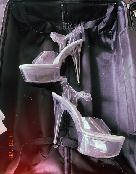 x asianbbw x ホットなスター 画像