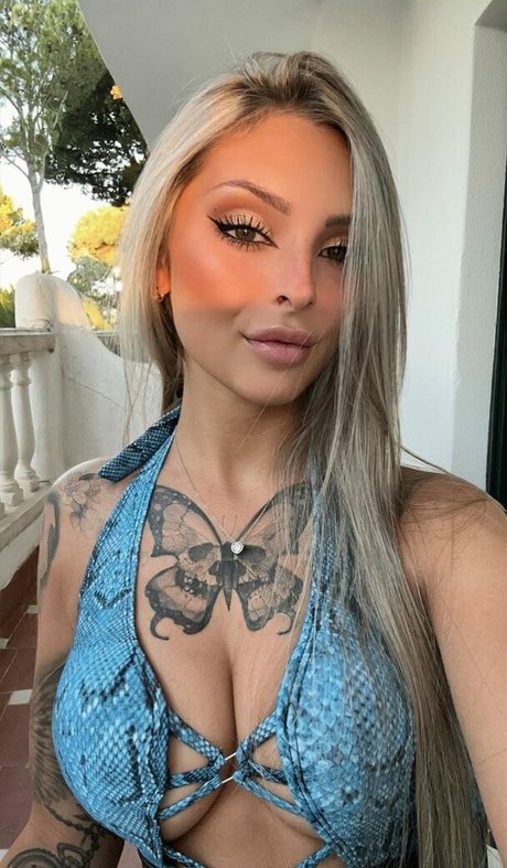 Lenscha fluture アートスター 画像