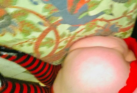 bootyhole king HD女優 写真