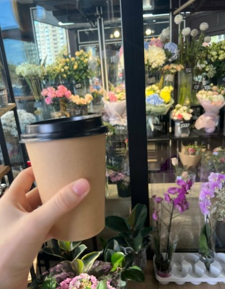 creamyspot 美しいスター ギャラリー