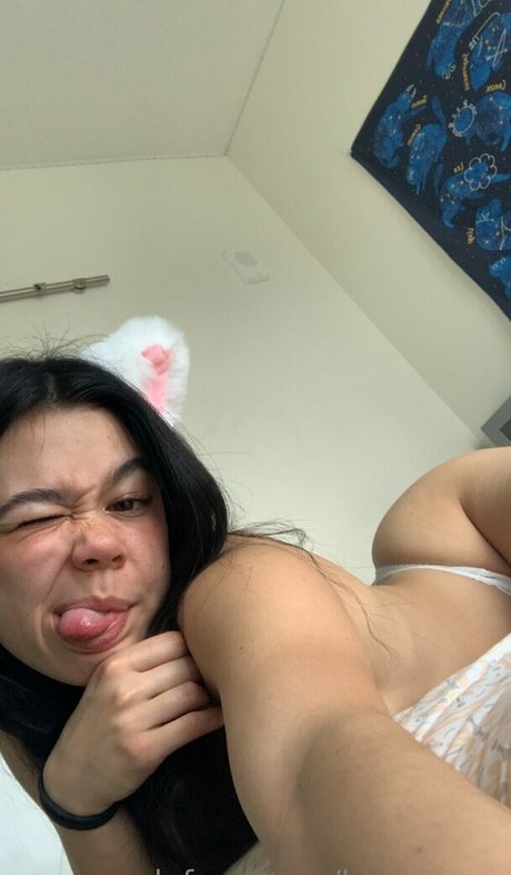 Breearson HDスター 写真