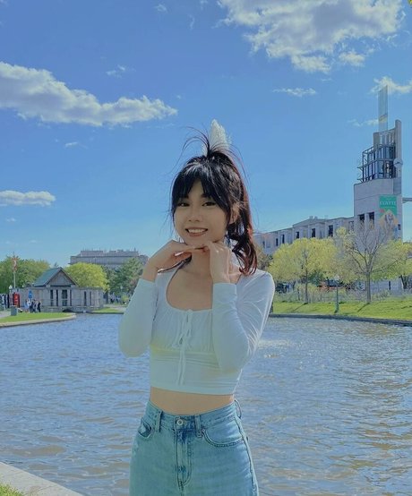 Jasmina 限定スター アーカイブ