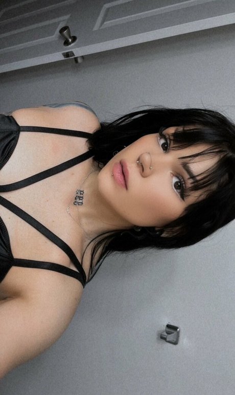 ガレガオンリーファンズ 可愛い ギャラリー